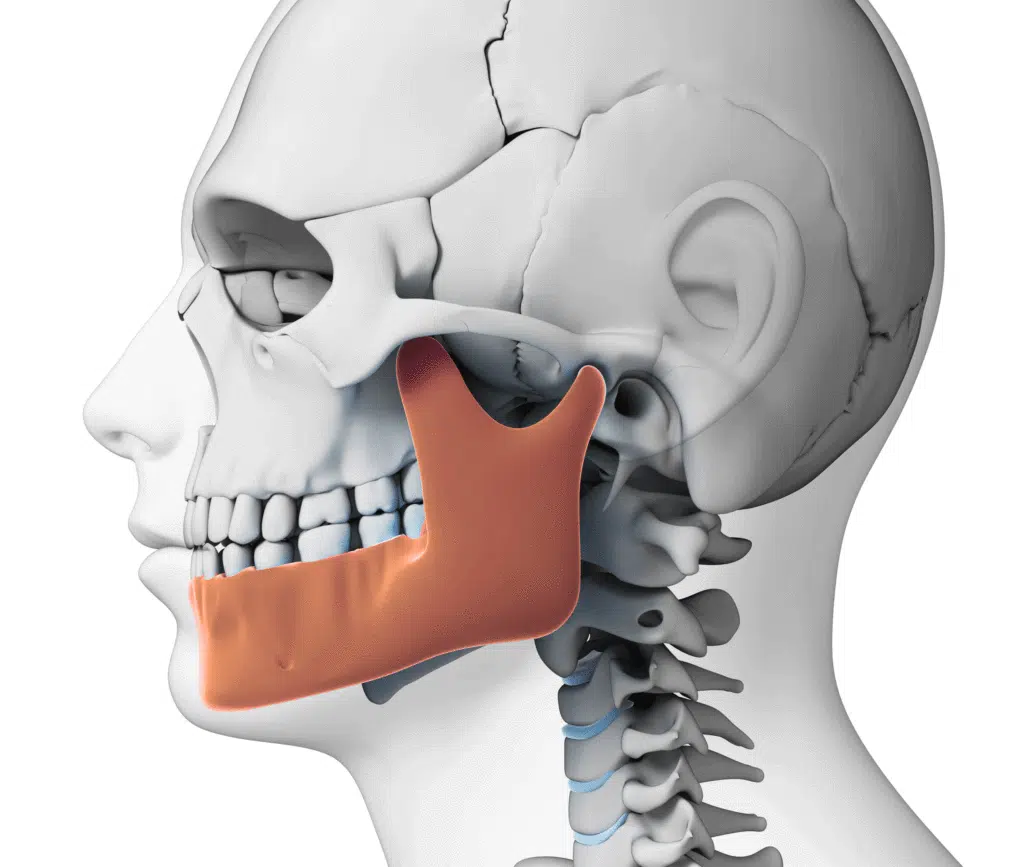 bruxismo-mandibula-barcelona-quiropractic