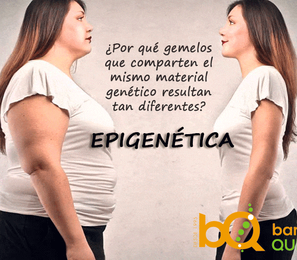 Epigenética y estilo de vida quiropráctico