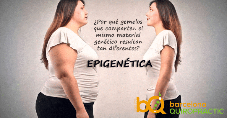 Epigenética y estilo de vida quiropráctico