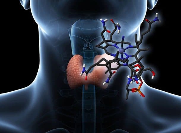 La quiropráctica y las funciones hormonales: tiroides