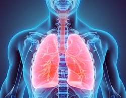 respiración-postura-columna