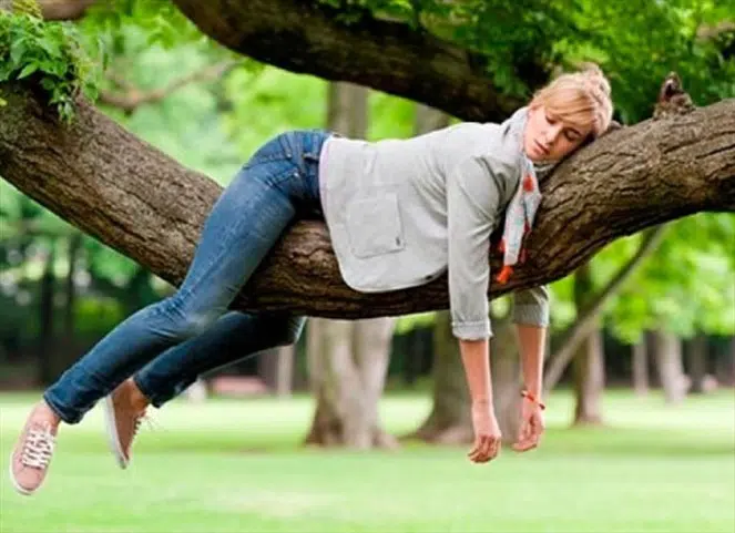 chica tumbada en rama de árbol