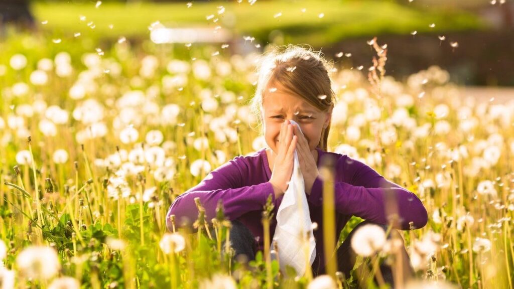 alergia-primaveral
