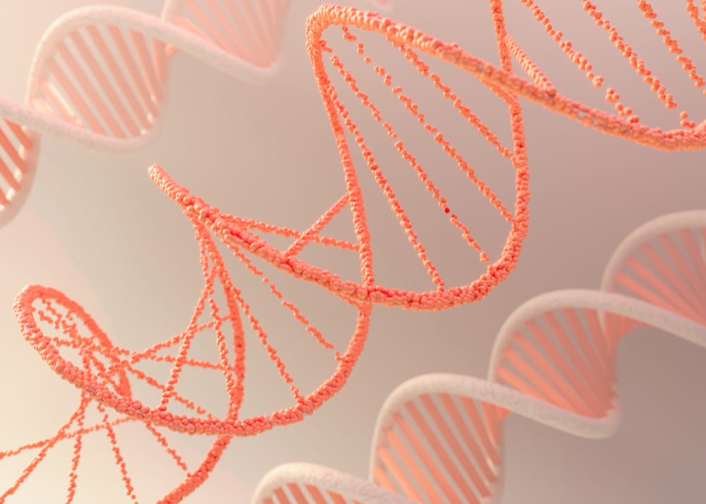 homeostasis y quiropráctica