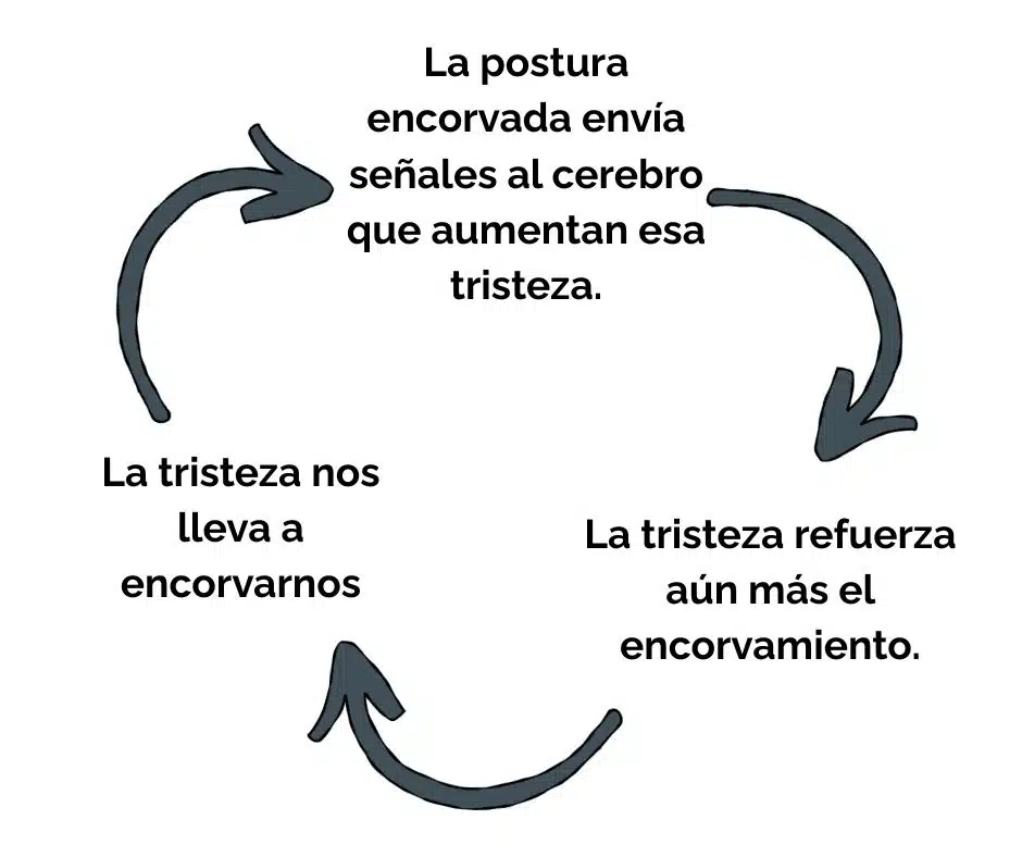 El círculo vicioso del encorvamiento postural